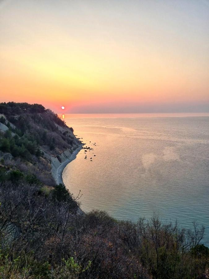 Apartma Pinea Portorož Exteriör bild